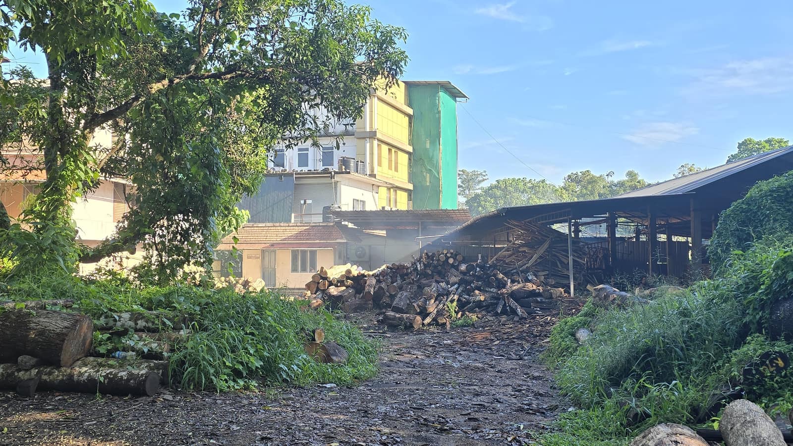 Timber yard at Kottayam Timbers and Packers, Kerala